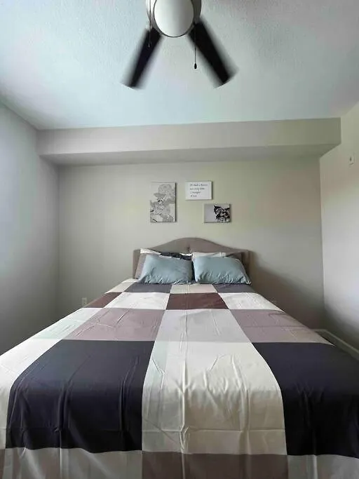 Blooming Journey In Tampa Bay! Apartment