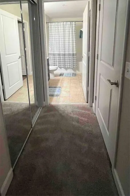 Blooming Journey In Tampa Bay! Apartment 0*,  United States